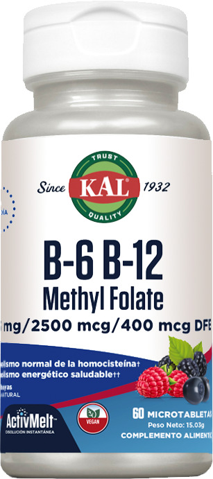 B6/B12 METHYL FOLATE(HOMOCISTEIN)-60 COMP.SUB.