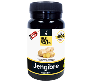 JENGIBRE - Imagen 2