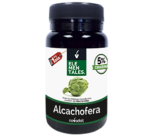 ALCACHOFERA - Imagen 2