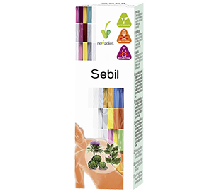 SEBIL - Imagen 2